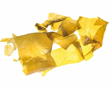 Alga Wakame - Sal Galega | Mercado del Grao Alga Wakame (Textura Suave y Delicada)