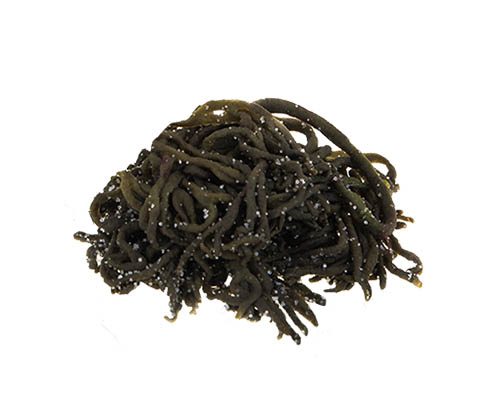 Alga percebe en sal en Sal Galega Alga percebe en sal (Sabor Intenso a Mar)