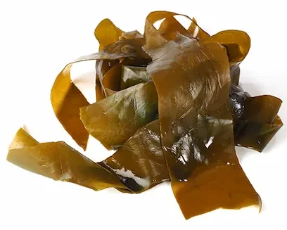 Alga Kombu - Sal Galega | Mercado del Grao Alga Kombu (El Auténtico Sabor Umami)