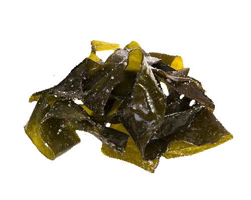 Alga Kombu en sal en Sal Galega Alga Kombu en sal (El Auténtico Sabor Umami)