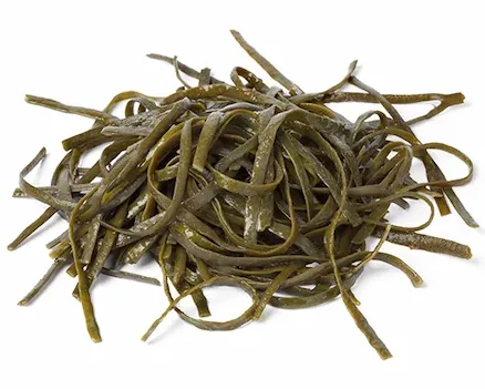 Alga espagueti de mar - Sal Galega | Mercado del Grao Alga espagueti de mar (Textura Carnosa)